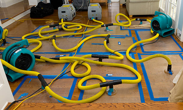 Professional Crawl Space Water Removal technician working in Melvin, MI